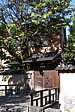 p1020548.jpg