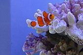 p1020565.jpg