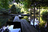 p1020577.jpg