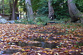p1020582.jpg