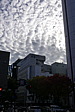 p1020584.jpg
