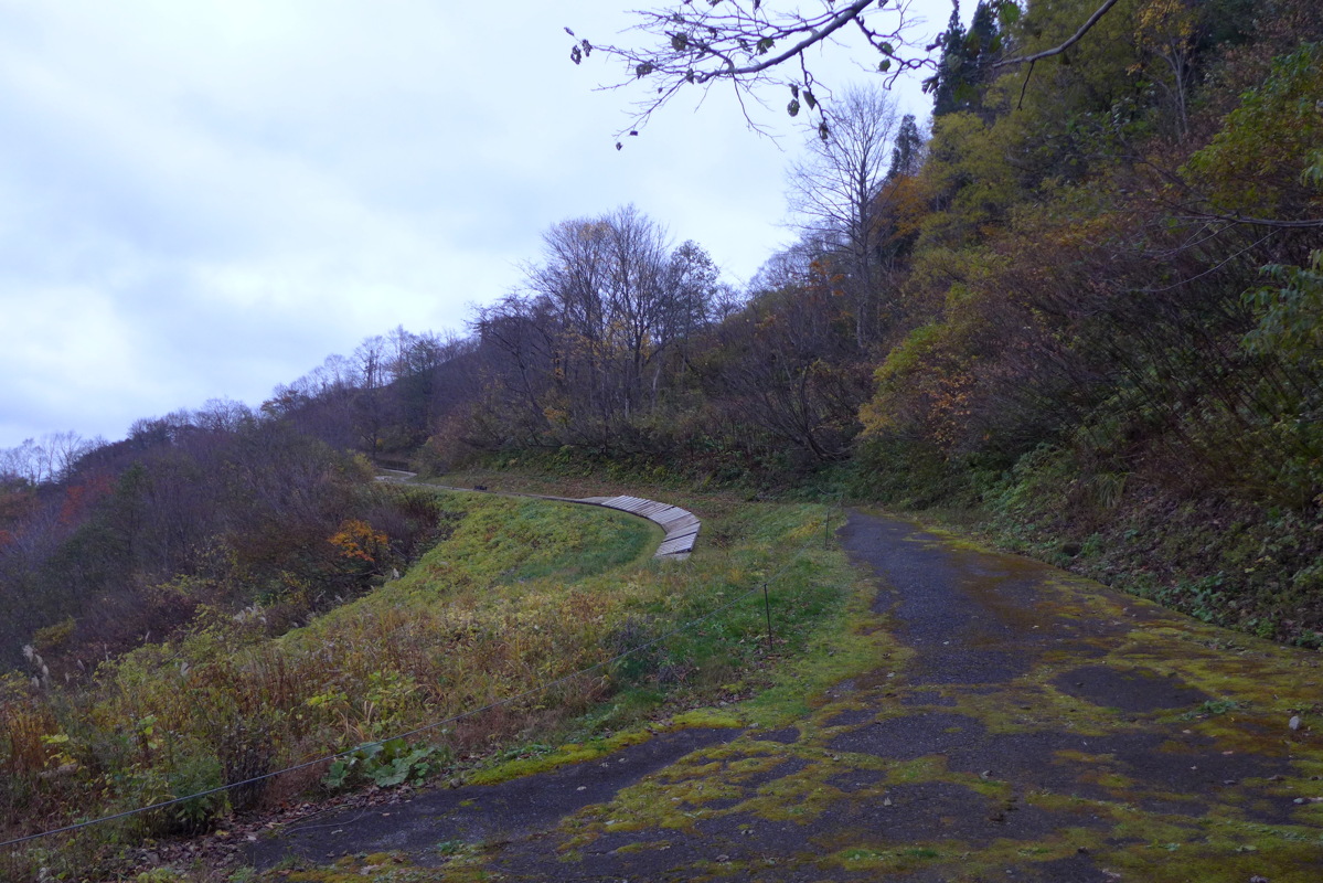 p1020653.jpg