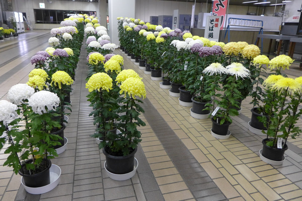 p1020683.jpg