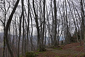 p1020651.jpg