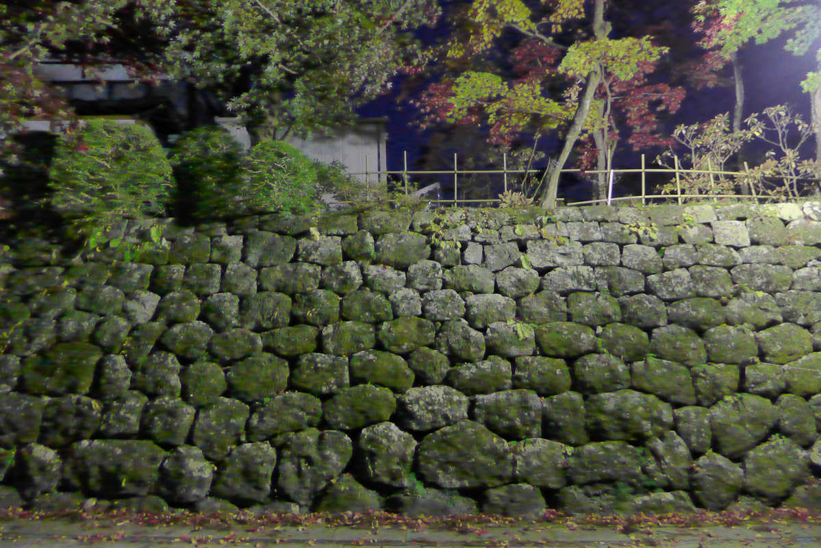 p1020723.jpg