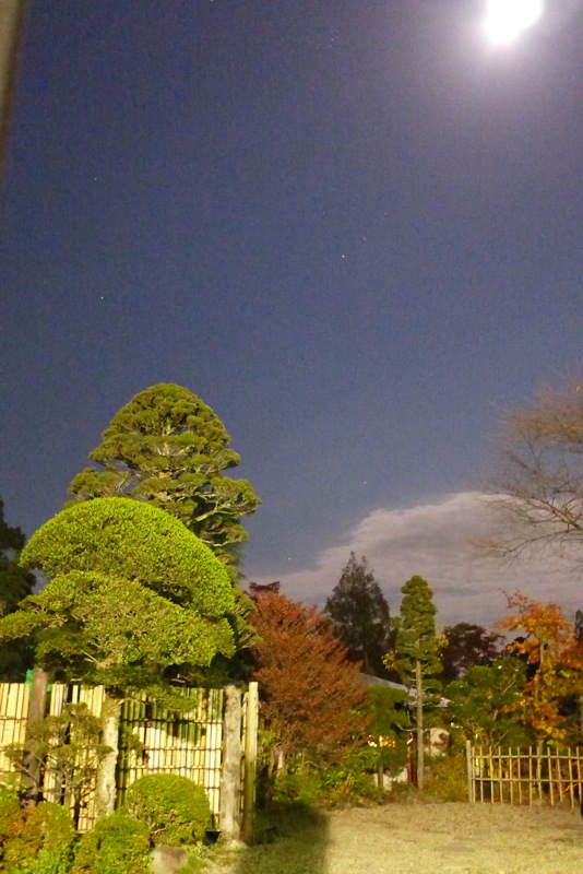 p1020726.jpg