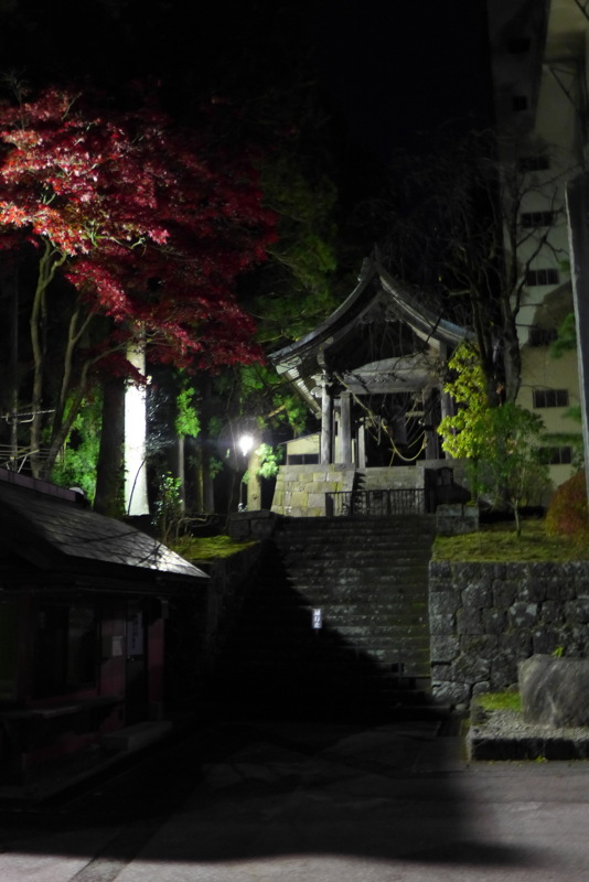 p1020729.jpg