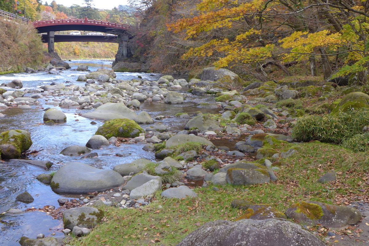 p1020763.jpg