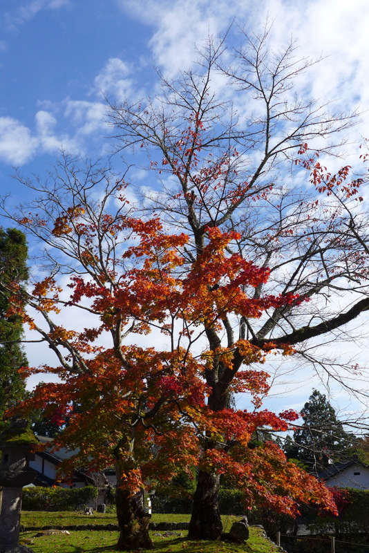 p1020771.jpg