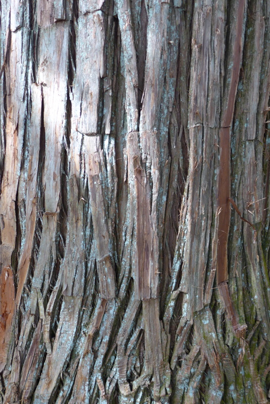 p1020833.jpg