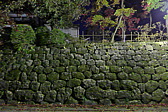 p1020723.jpg