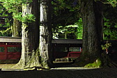 p1020747.jpg