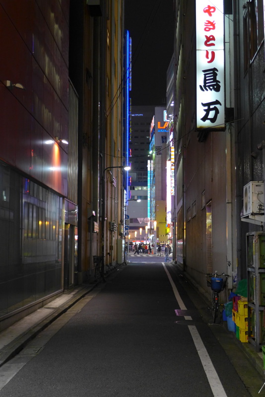 p1020867.jpg