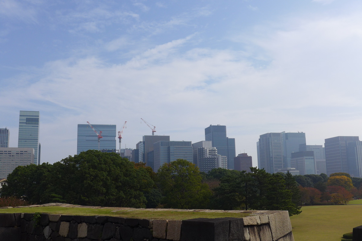 p1020917.jpg