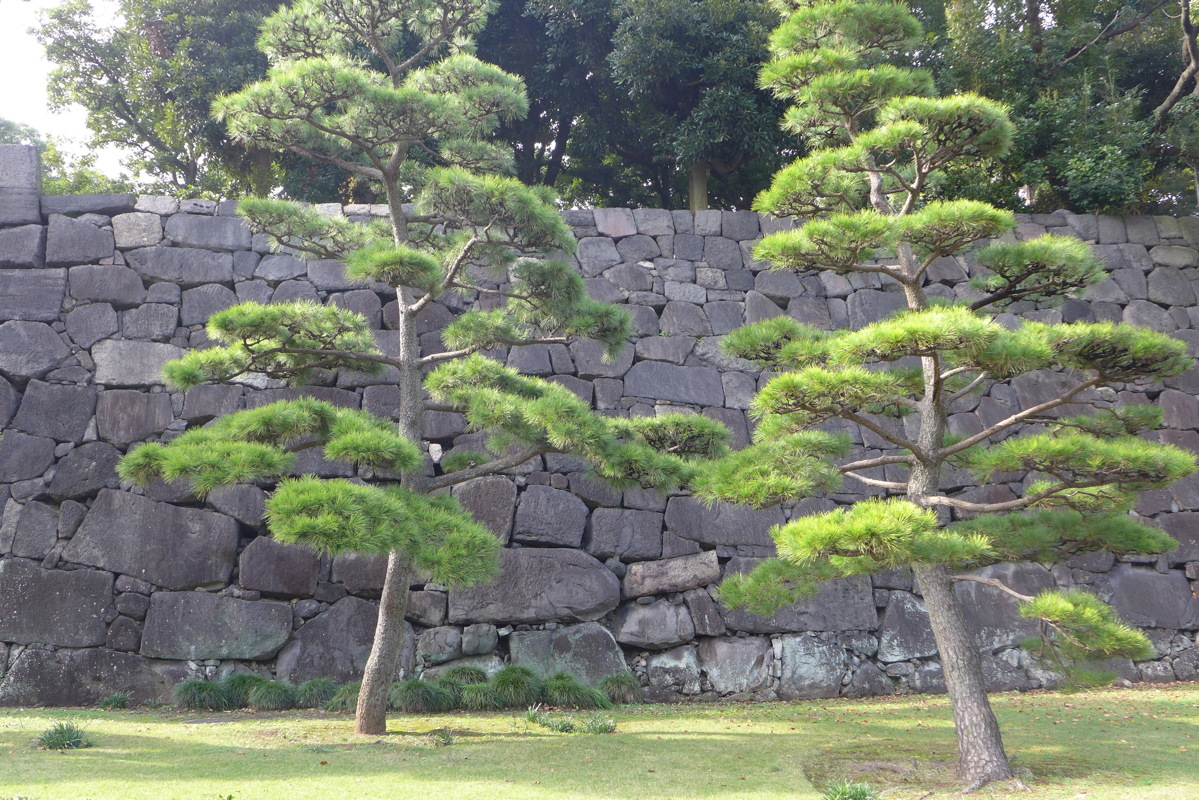p1020918.jpg