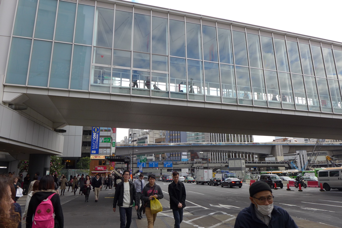 p1030104.jpg