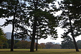 p1020914.jpg