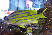 p1030055.jpg