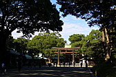 p1030083.jpg