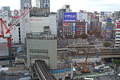 p1030114.jpg