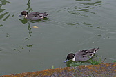 p1030201.jpg