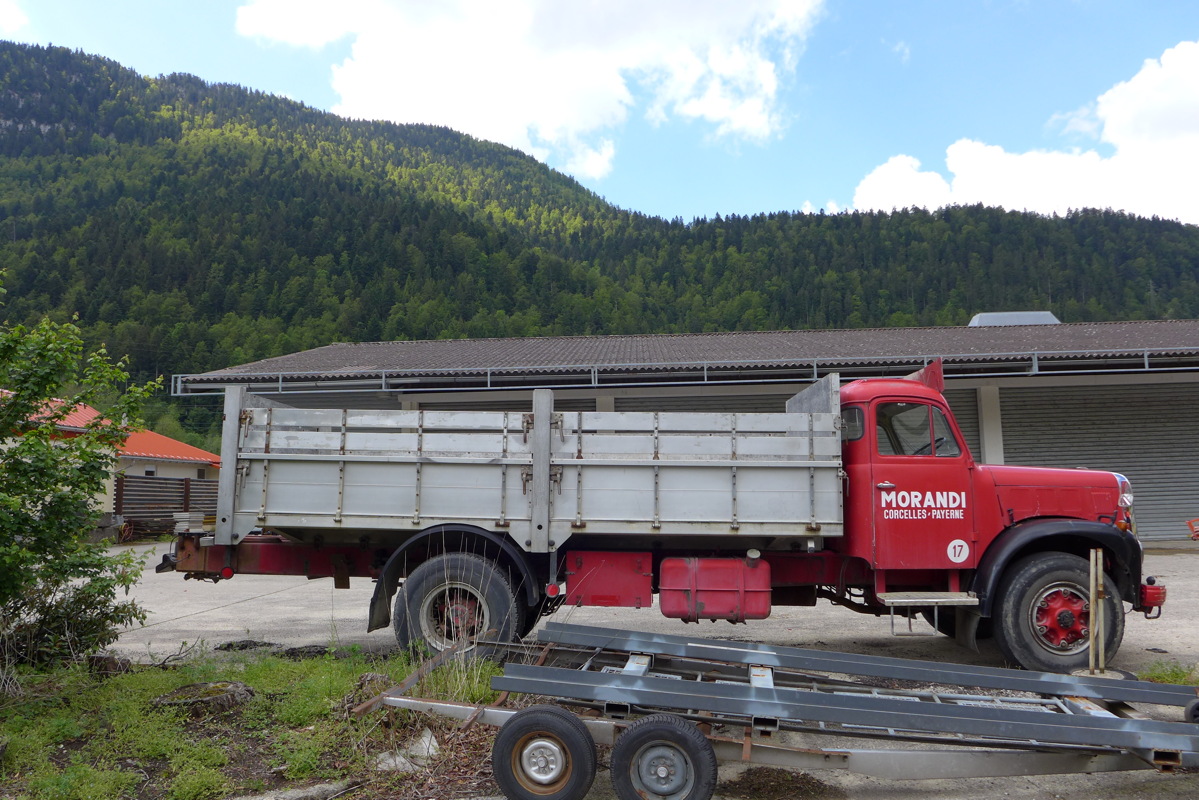 p1000009.jpg