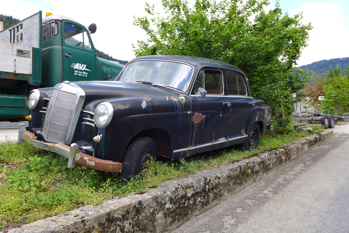 p1000010.jpg