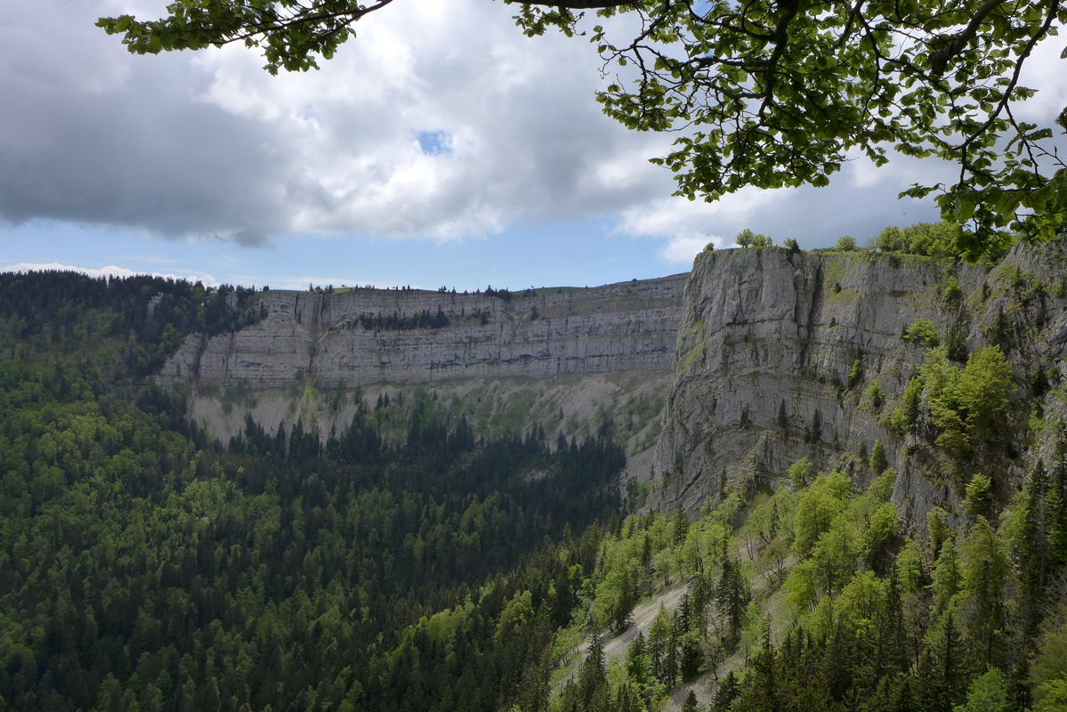 p1000015.jpg