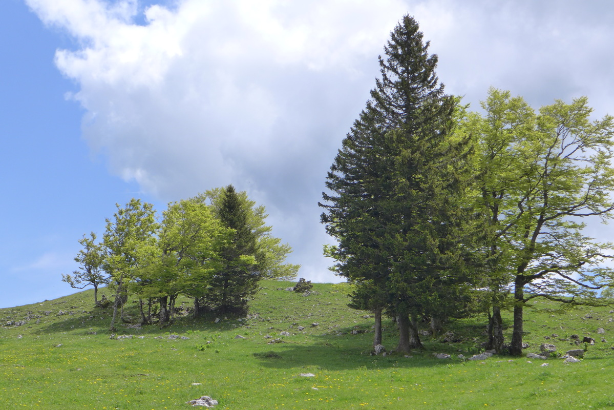 p1000017.jpg