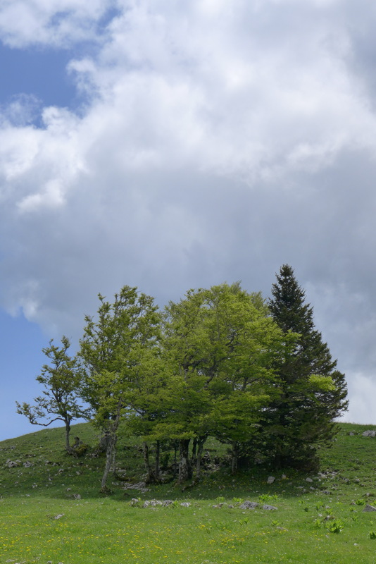 p1000018.jpg