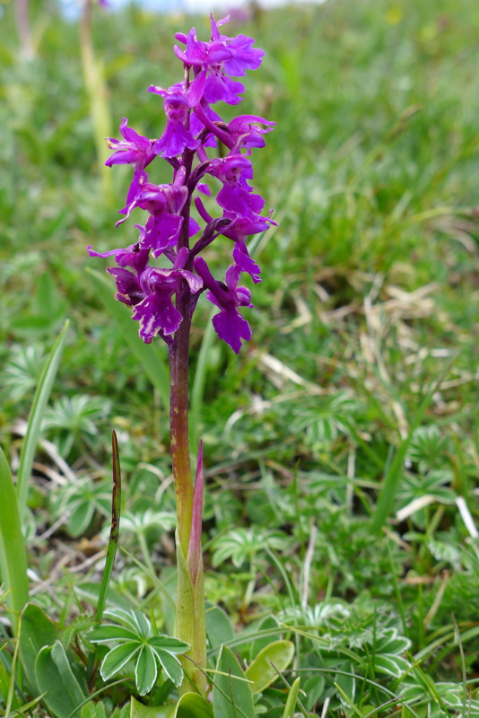 p1000025.jpg