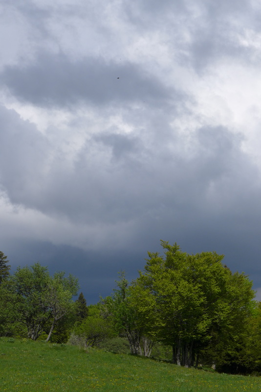 p1000037.jpg