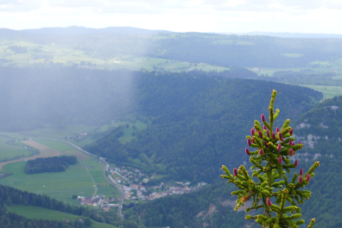 p1000040.jpg
