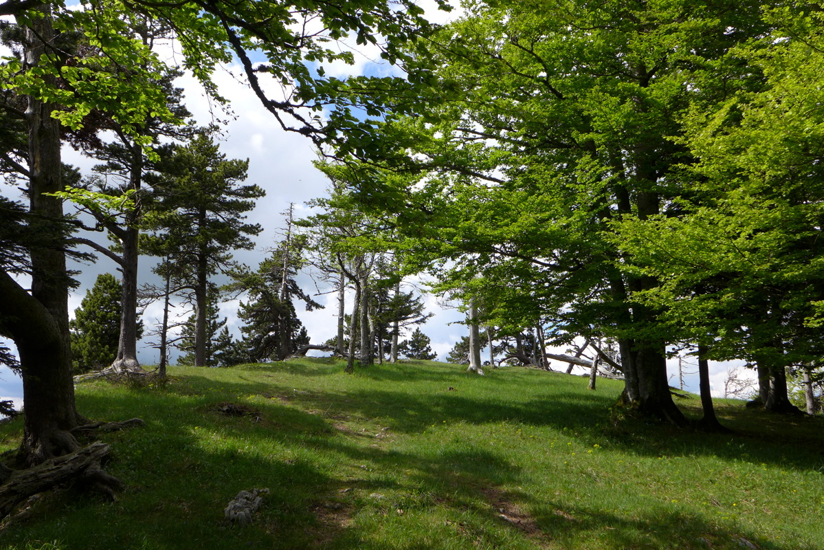 p1000045.jpg