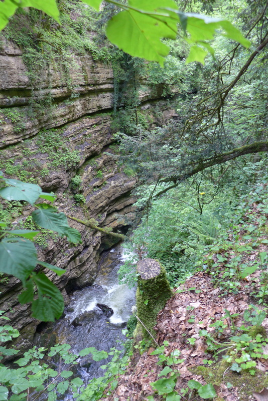 p1000053.jpg