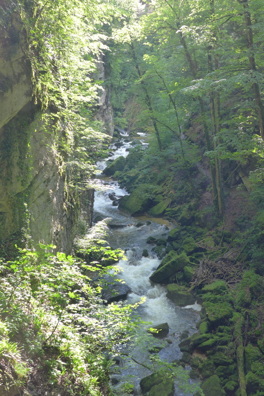 p1000056.jpg