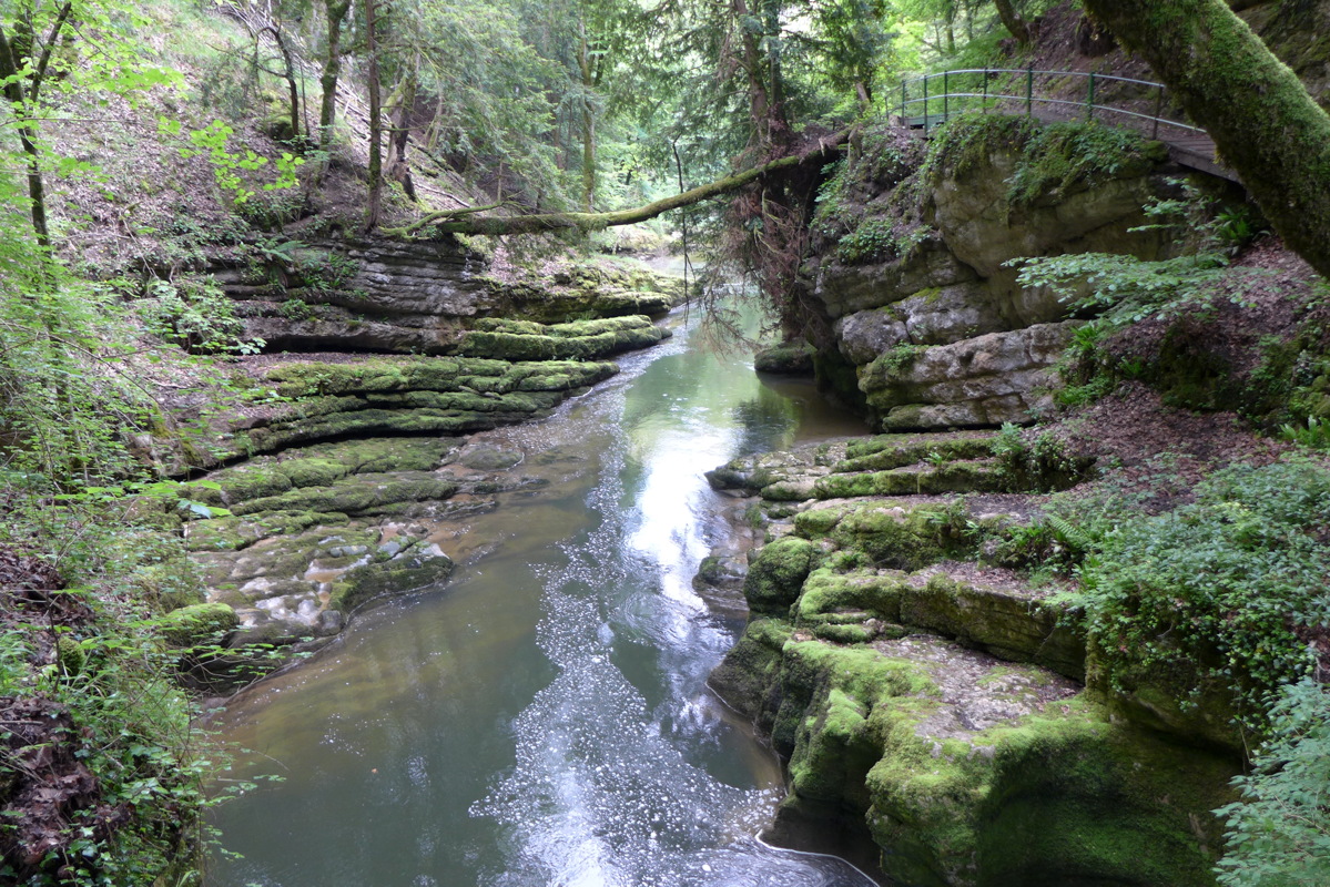 p1000060.jpg