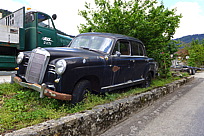 p1000010.jpg