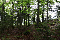 p1000013.jpg