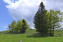 p1000017.jpg