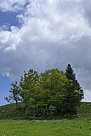 p1000018.jpg