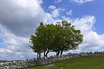 p1000019.jpg