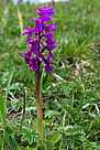p1000025.jpg