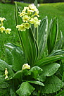 p1000031.jpg