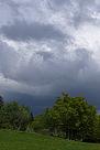 p1000037.jpg