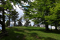 p1000045.jpg