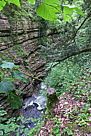 p1000053.jpg