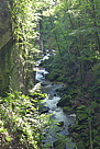 p1000056.jpg