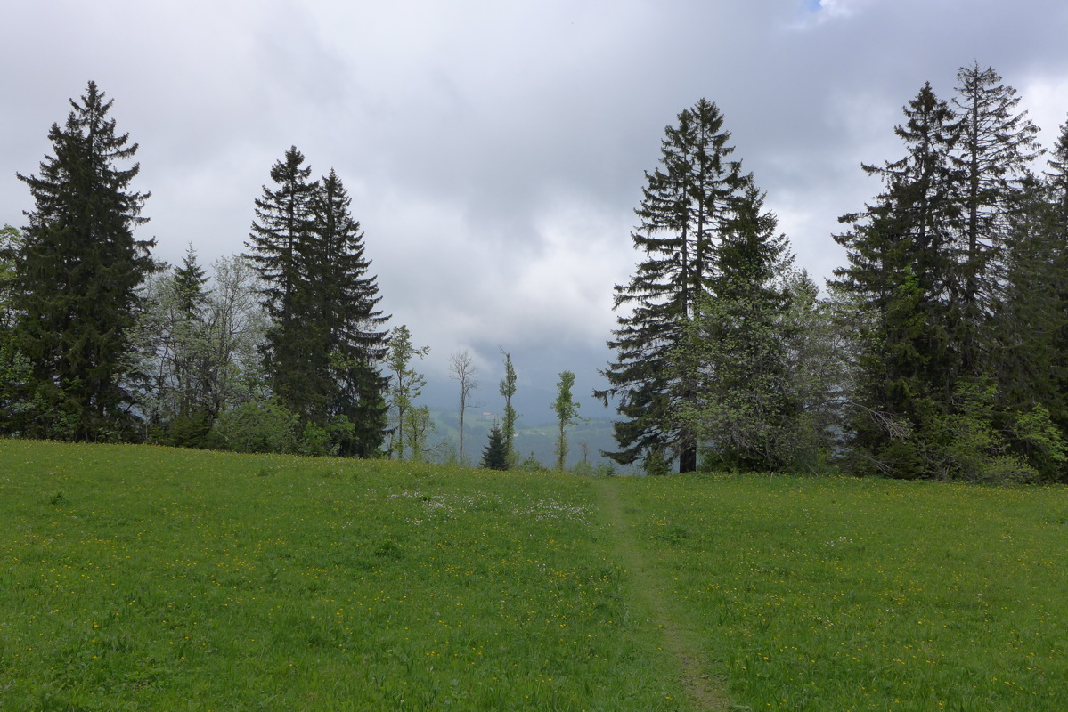 p1000065.jpg