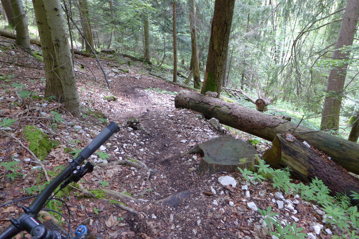 p1000066.jpg